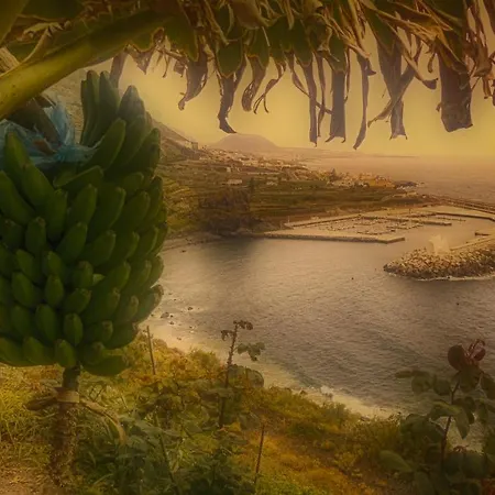 Modern Sea Front In 1 Apartament