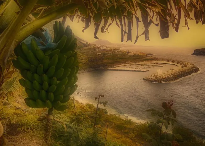 Modern Sea Front In 1 Apartment